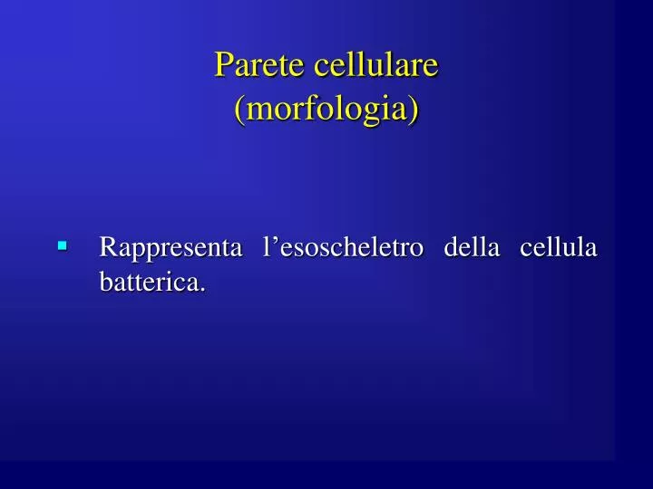 parete cellulare morfologia