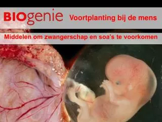 voortplanting bij de mens
