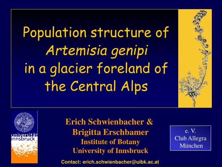 population structure of artemisia genipi in a glacier foreland of the central alps