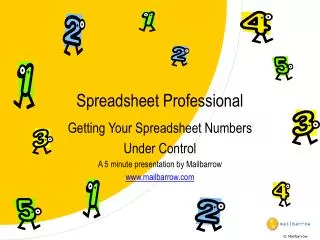 Spreadsheet Professional