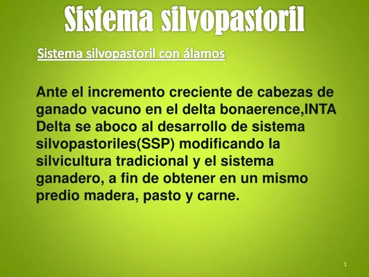 sistema silvopastoril