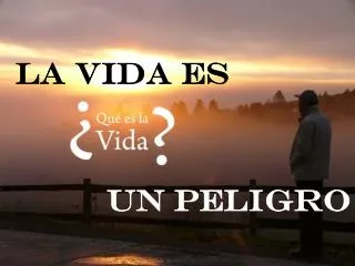 la vida es