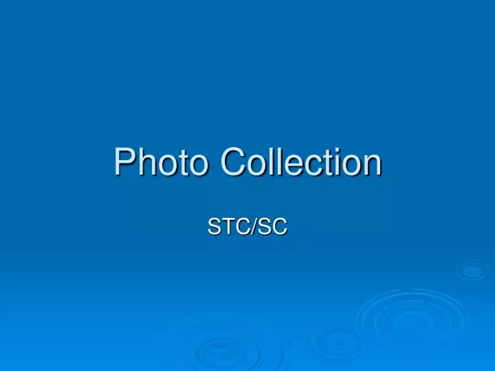 photo collection