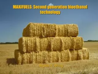 MAXIFUELS: Second generation bioethanol technology