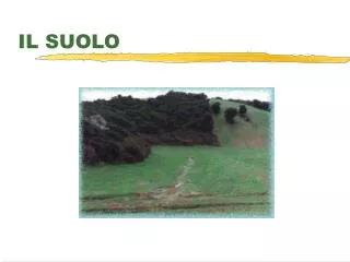 il suolo