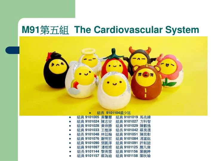 m91 the cardiovascular system