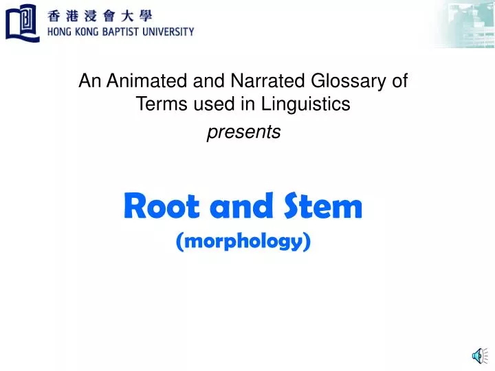 root and stem morphology