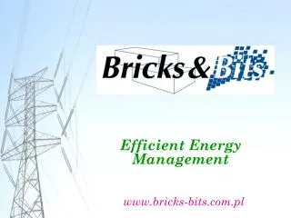 Efficient Energy Management bricks-bits.pl