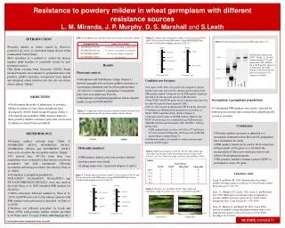 Resistance to powdery mildew in wheat germplasm with different resistance sources