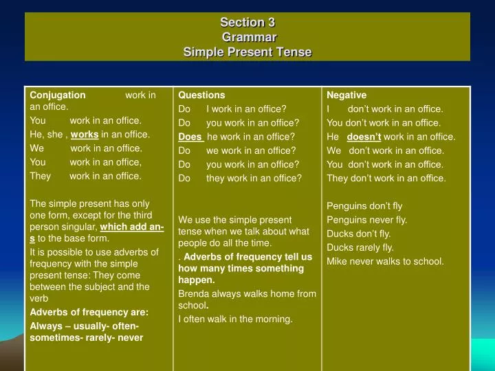 section 3 grammar simple present tense