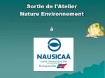 Sortie de l’Atelier Nature Environnement à - slide 1