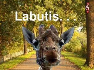 labutis