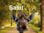 Salut . . . - slide 1