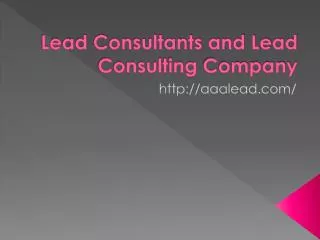 Lead Consultants and Lead Consulting Company