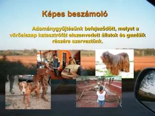 k pes besz mol