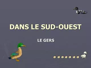 dans le sud ouest
