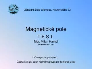 magnetick pole
