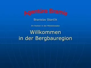 branislav stan k