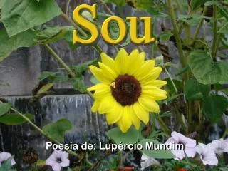 poesia de lup rcio mundim