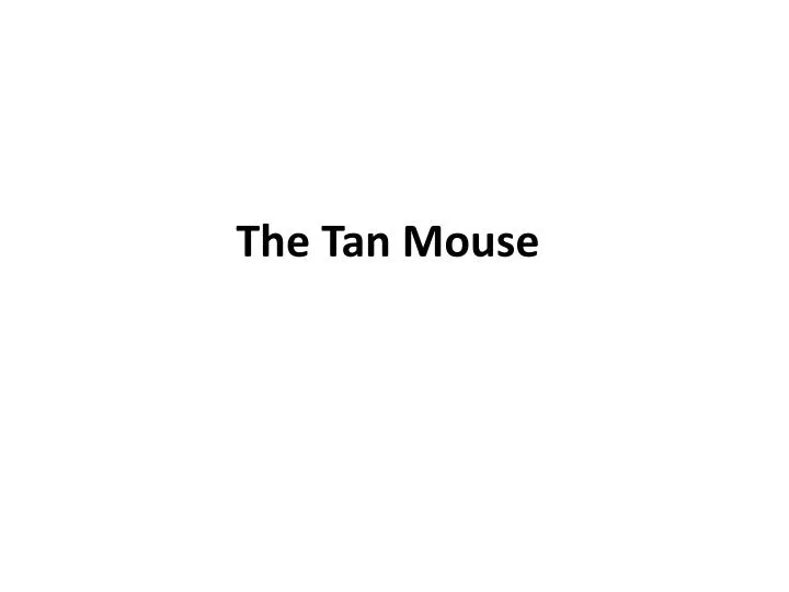 the tan mouse