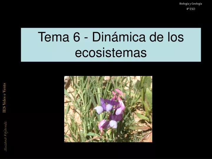 tema 6 din mica de los ecosistemas