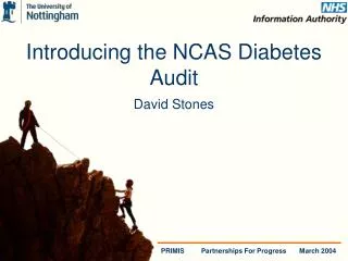 Introducing the NCAS Diabetes Audit