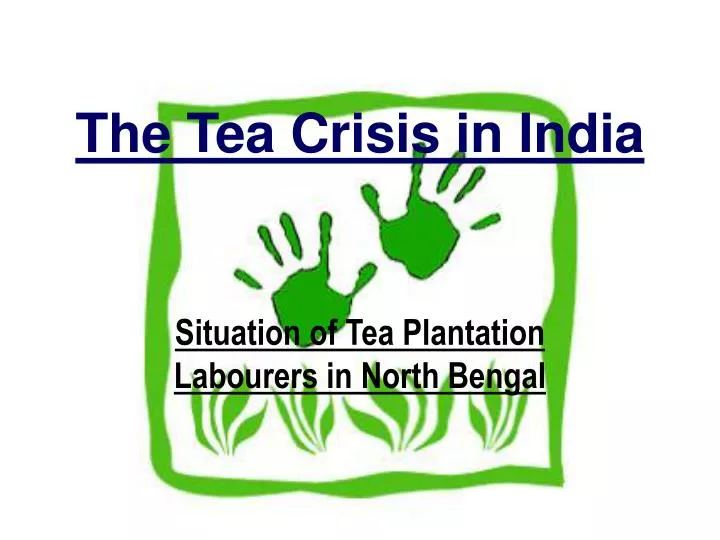 the tea crisis in india