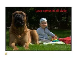 Love comes in all sizes