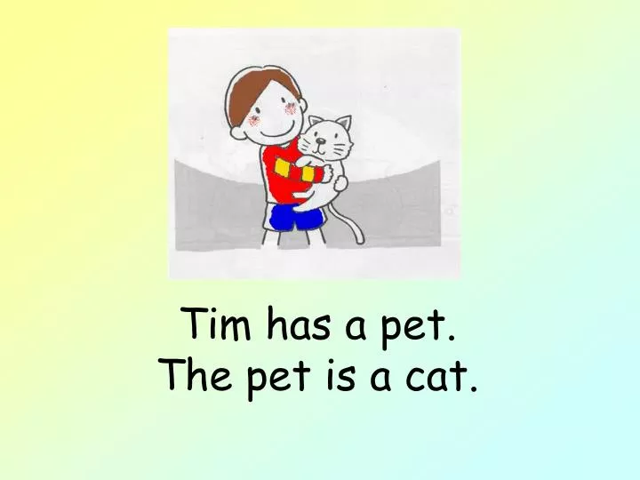 tim has a pet the pet is a cat