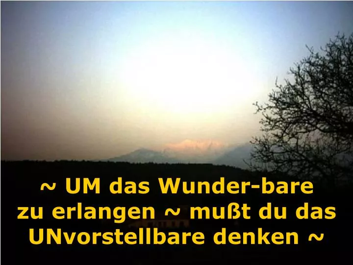 um das wunder bare zu erlangen mu t du das unvorstellbare denken