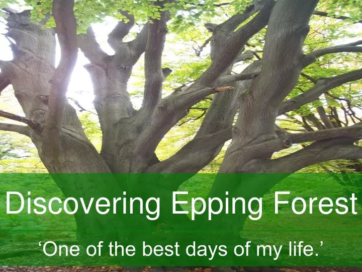 discovering epping forest