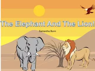 The Elephant And The Lion!