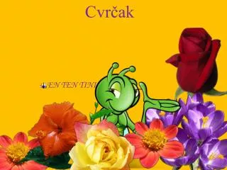 cvr ak