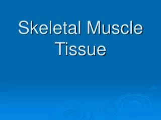 Skeletal Muscle Tissue