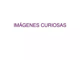 im genes curiosas