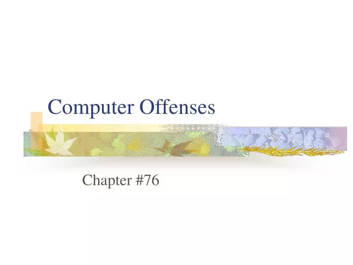 computer offenses