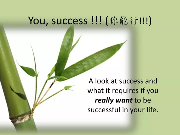 you success