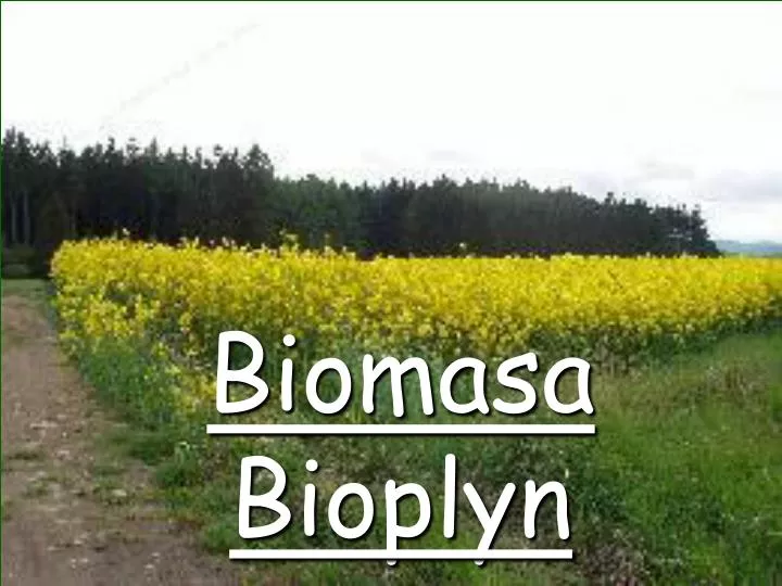 biomasa bioplyn