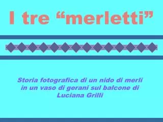 i tre merletti