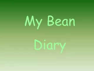 My Bean Diary