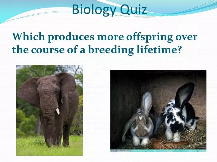 biology quiz