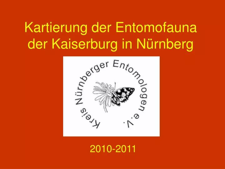 kartierung der entomofauna der kaiserburg in n rnberg