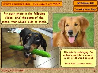 For each photo in the following slides, SAY the name of the breed, then CLICK slide to check.