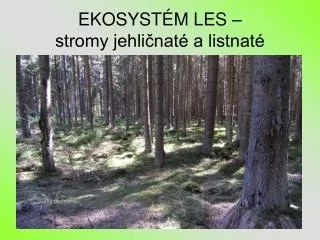 ekosyst m les stromy jehli nat a listnat