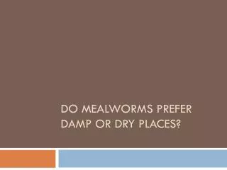 DO MEALWORMS PREFER DAMP OR DRY PLACES?