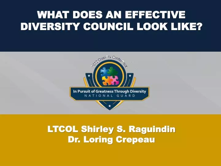 what does an effective diversity council look like