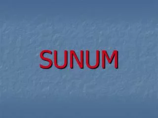 sunum