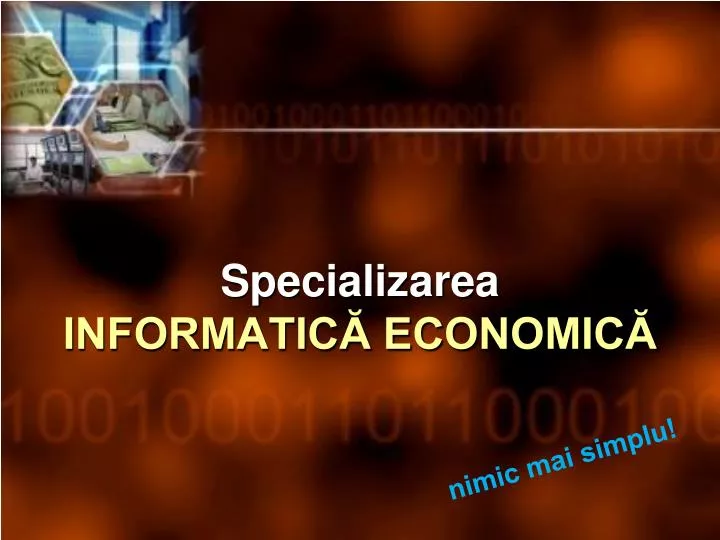 specializarea informatic economic