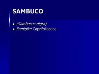 sambuco