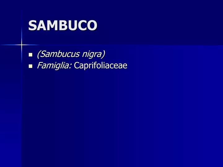 sambuco